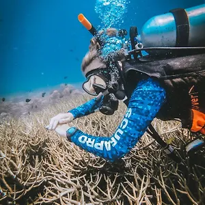 *** Gasthof Dpm Diving Hotel&bar Thailand